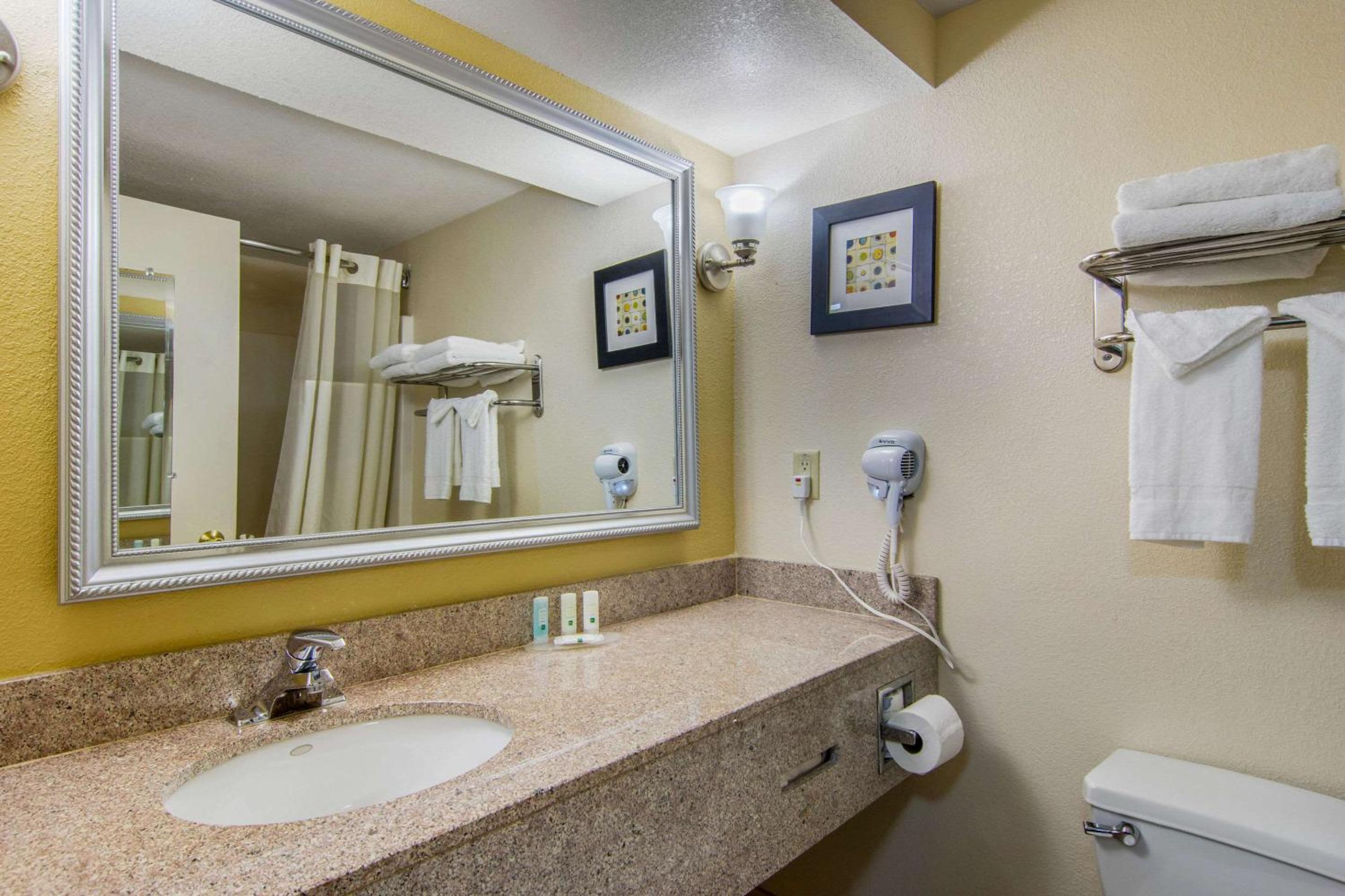 holiday inn express orlando lake buena vista area