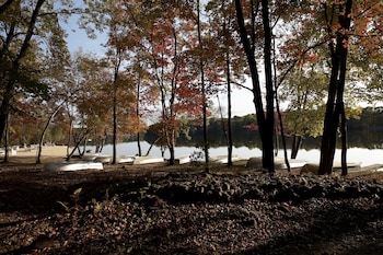 mountain springs lake resort