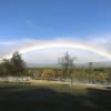 mountain springs lake resort