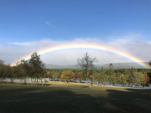 mountain springs lake resort