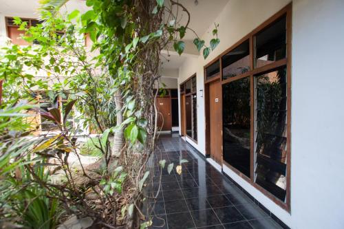 reddoorz panglima sudirman probolinggo
