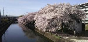 kyoto aya guest house