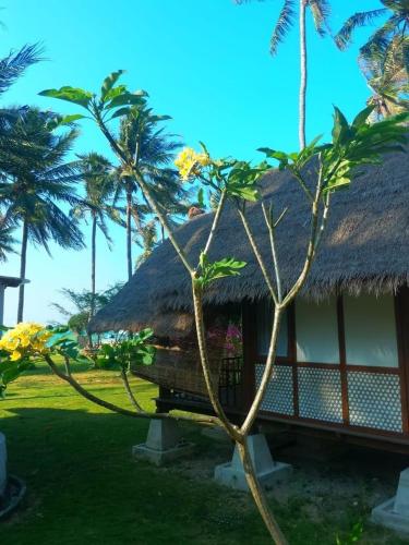 arys lagoon bungalow and hotel