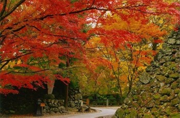 nunohiki onsen komoro