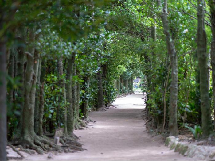 condominium yuyuki