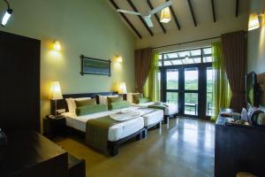 oak ray wild yala