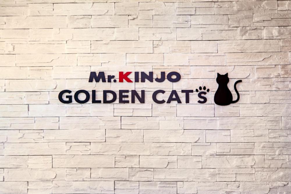 hotel mr kinjo golden cats