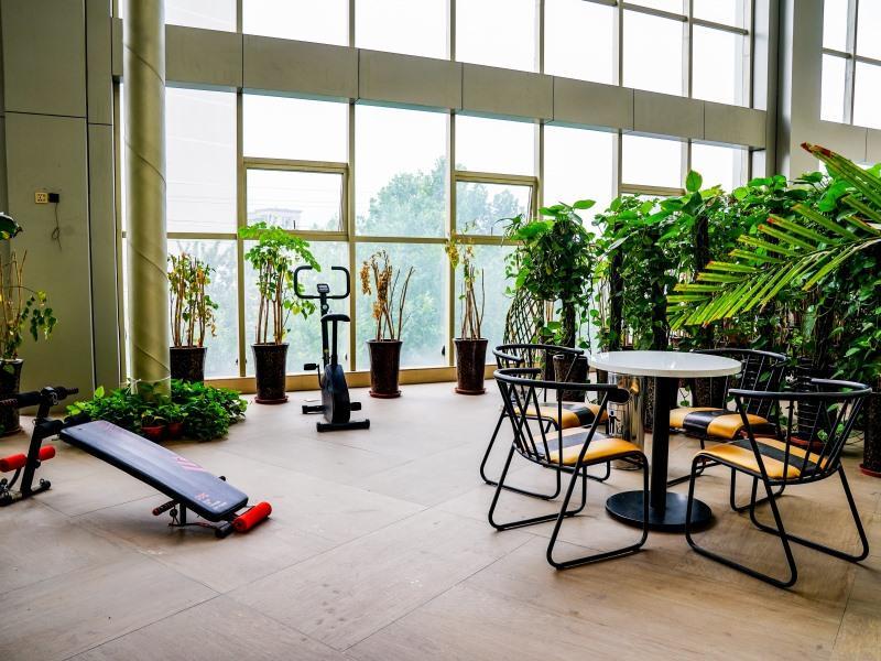 greentree inn xingtai renze district people street business hotel
