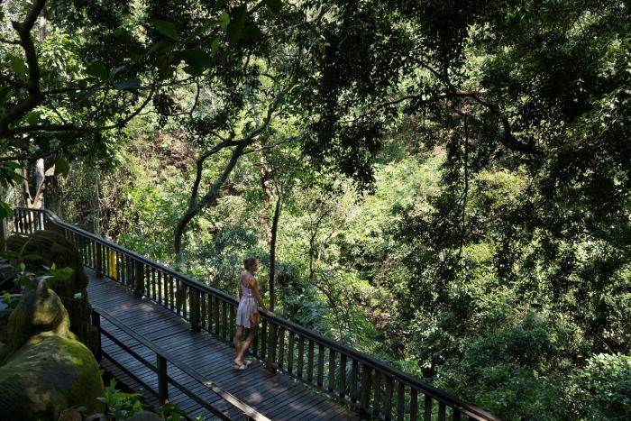 adiwana monkey forest