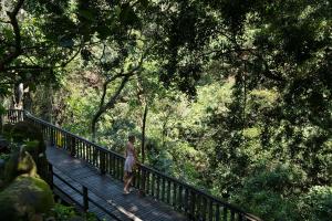 adiwana monkey forest