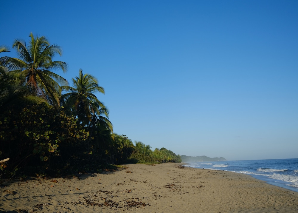 guachaca