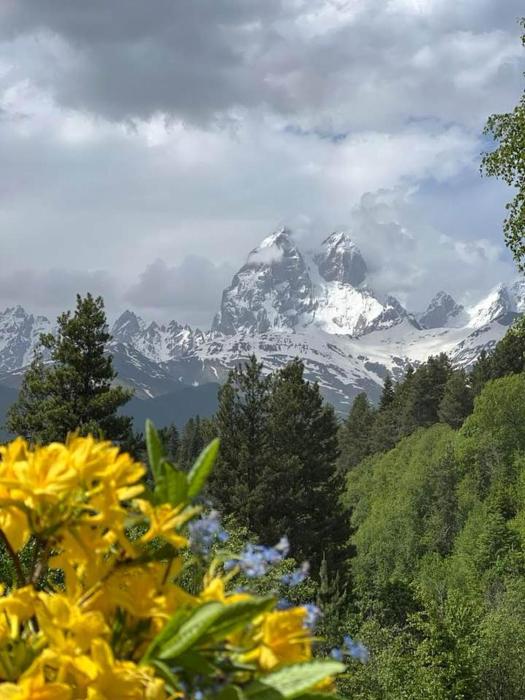 chalet mestia