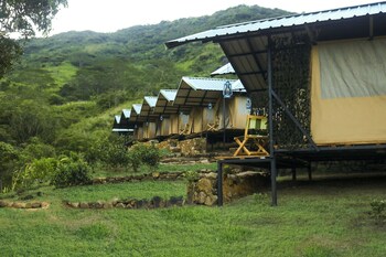 wild glamping