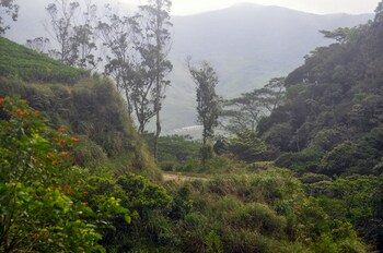 wild glamping