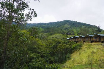 wild glamping