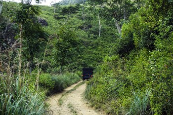 wild glamping