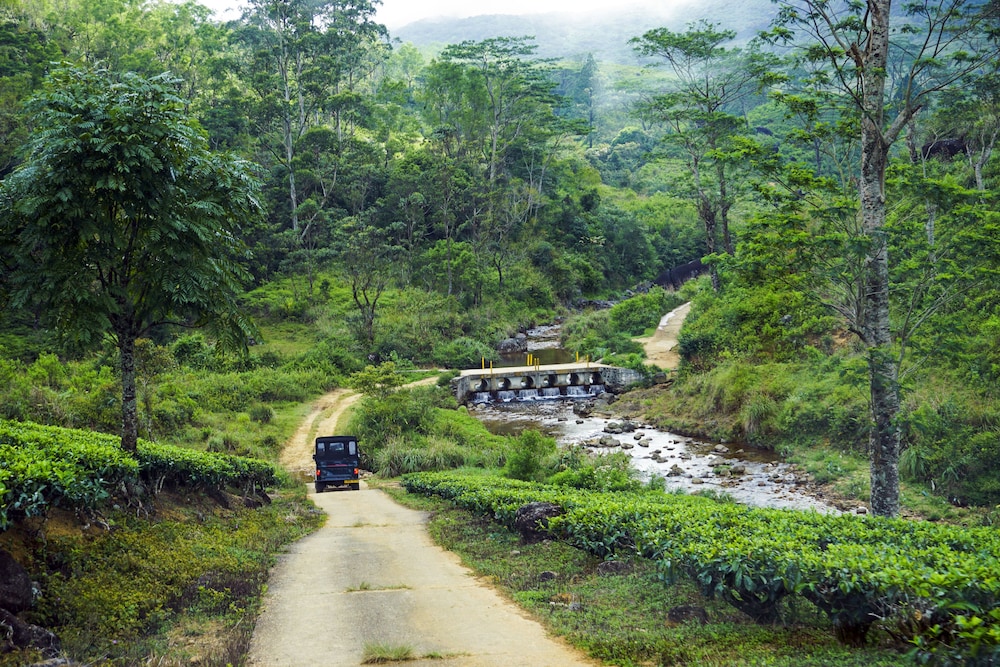 wild glamping