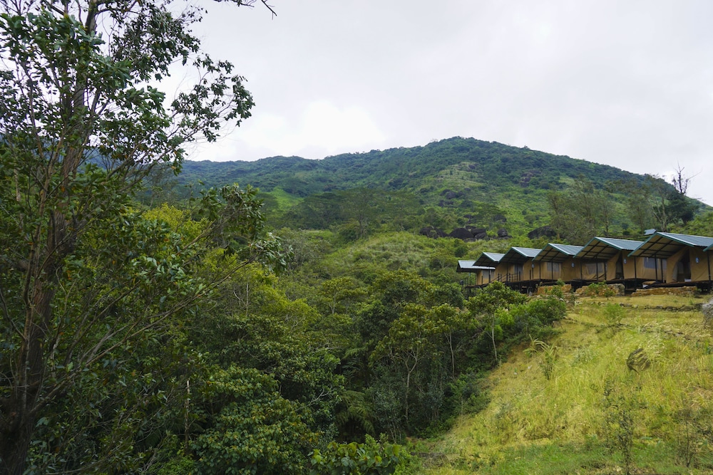 wild glamping