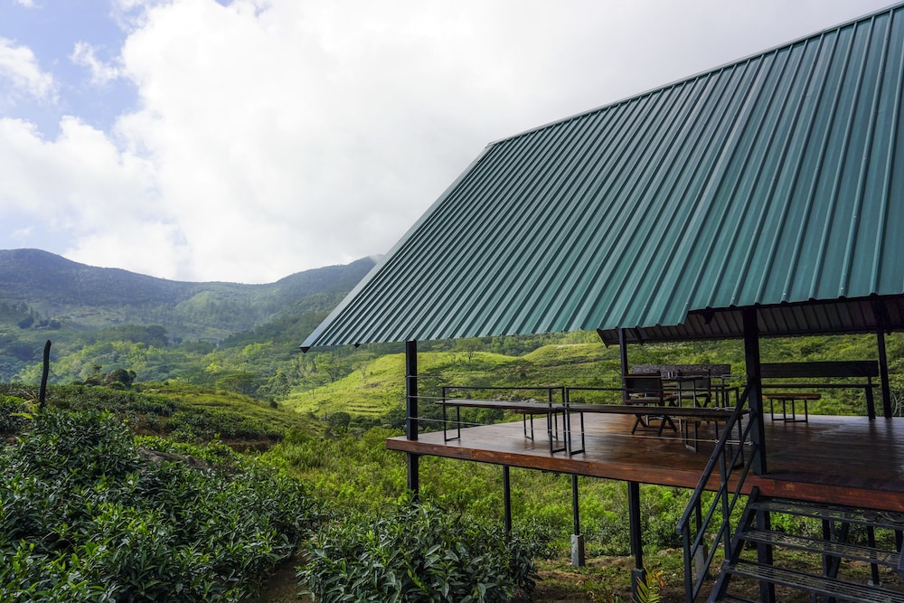 wild glamping
