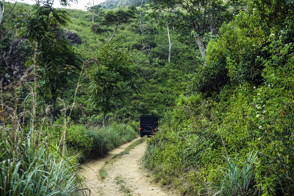 wild glamping