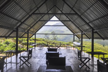 wild glamping