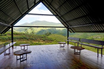 wild glamping