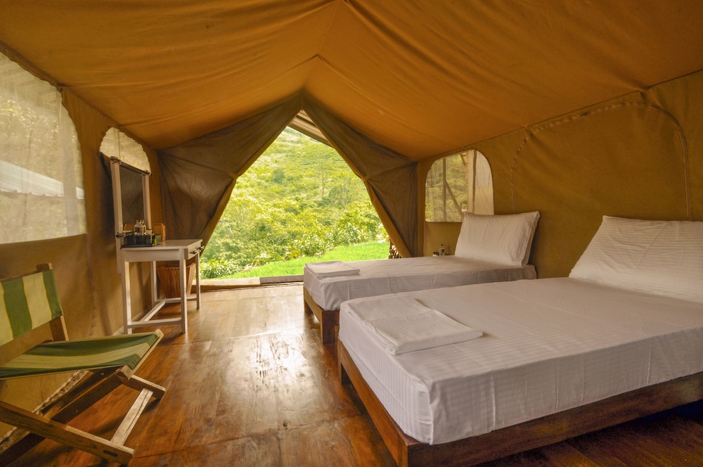 wild glamping