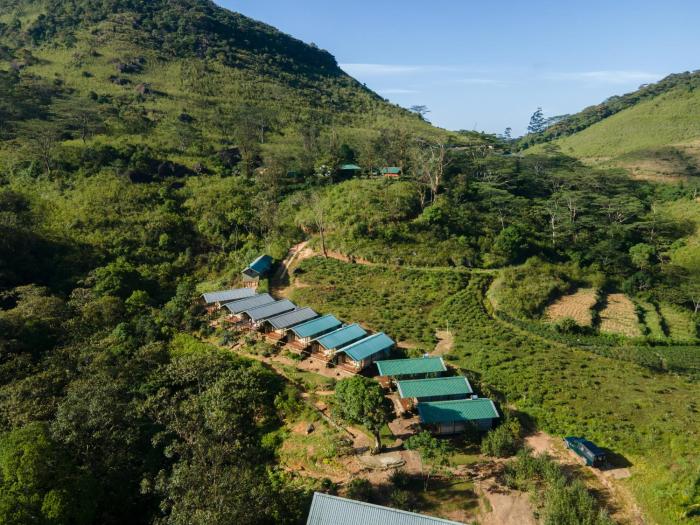 wild glamping
