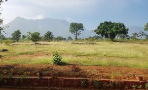 aarraams farms and resorts