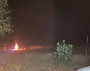 aarraams farms and resorts