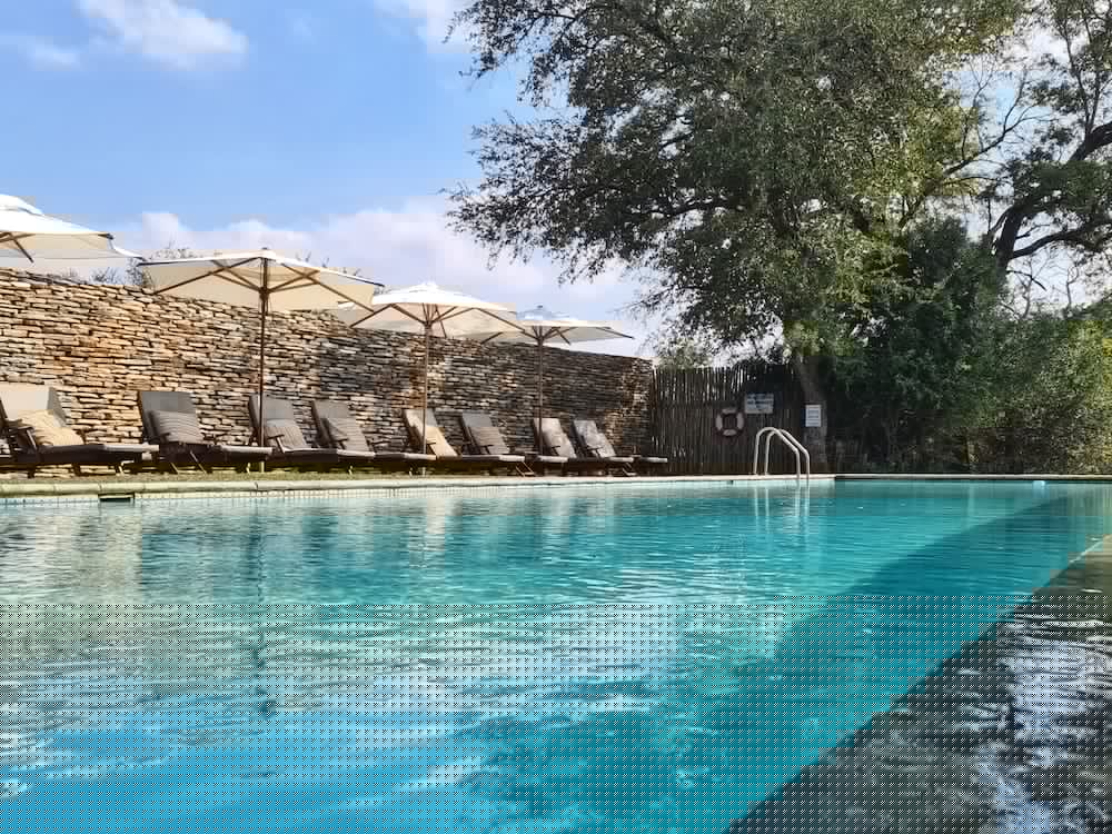 karongwe portfolio becks safari lodge