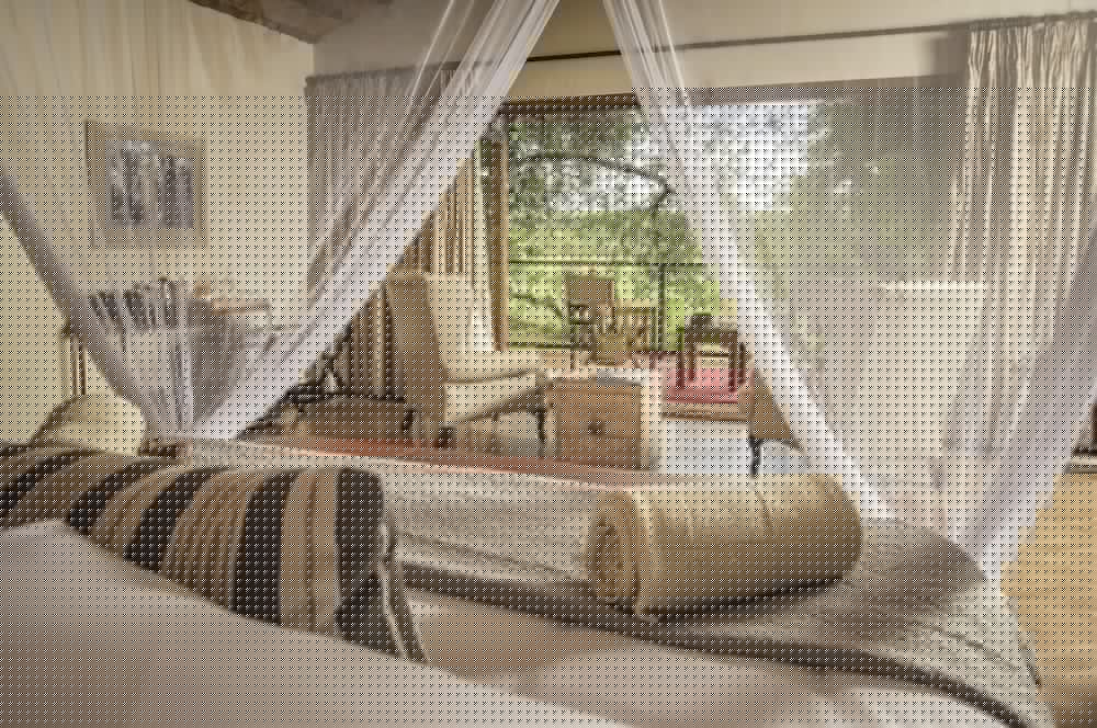 karongwe portfolio becks safari lodge