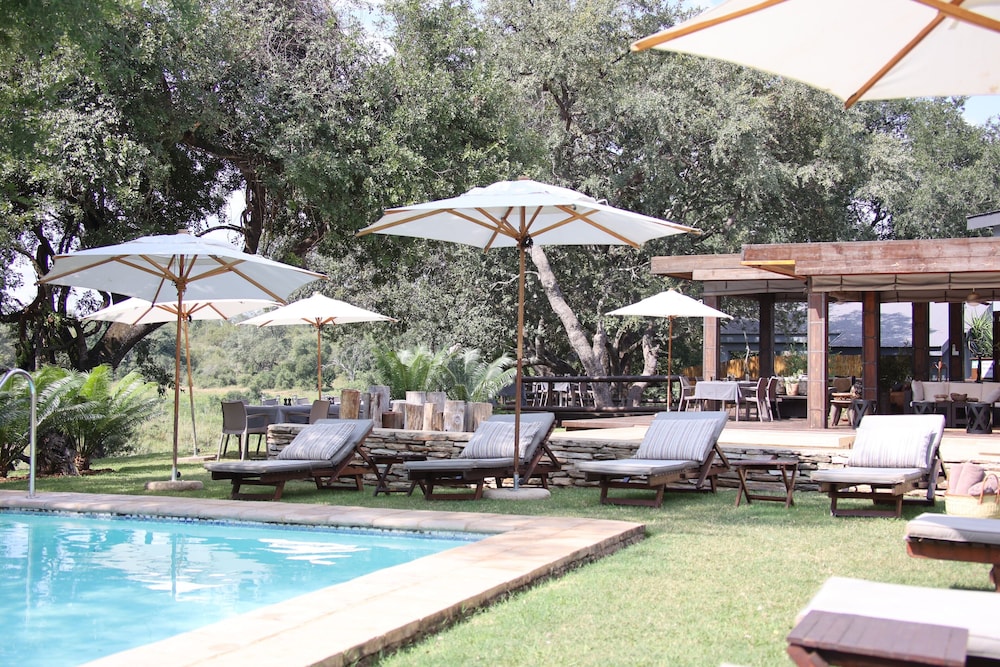 karongwe portfolio becks safari lodge