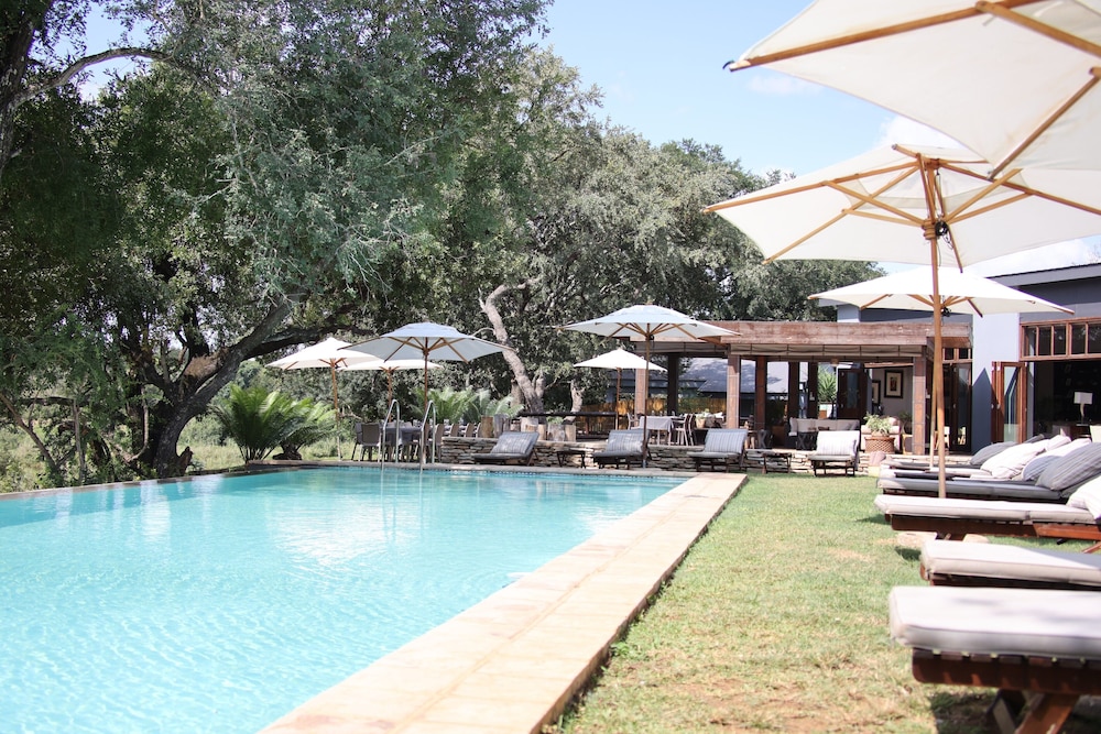karongwe portfolio becks safari lodge