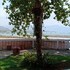 bunga ayu seaside resort
