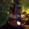 avalon hotel campestre