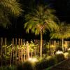 avalon hotel campestre