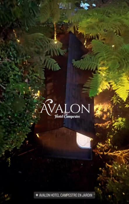 avalon hotel campestre