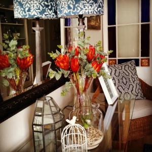 the greenhouse guesthouse