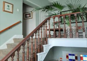 the greenhouse guesthouse