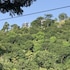 koswatta