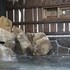 dormy inn maebashi natural hot spring