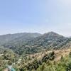 shimla