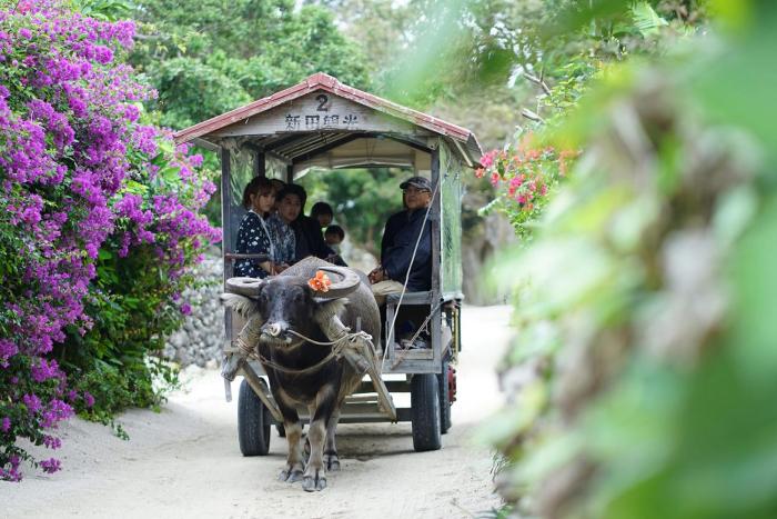 the breakfast hotel marche ishigakijima