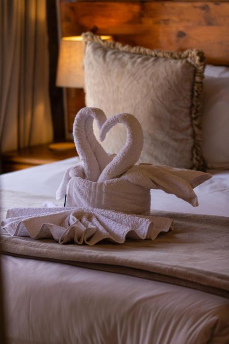 tshikwalo game lodge