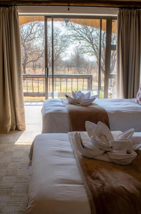 tshikwalo game lodge