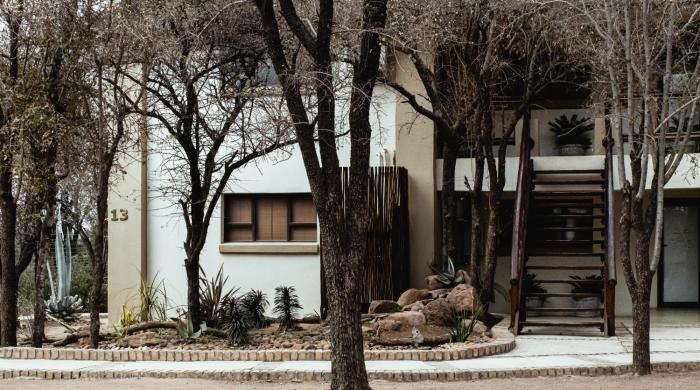 tshikwalo game lodge