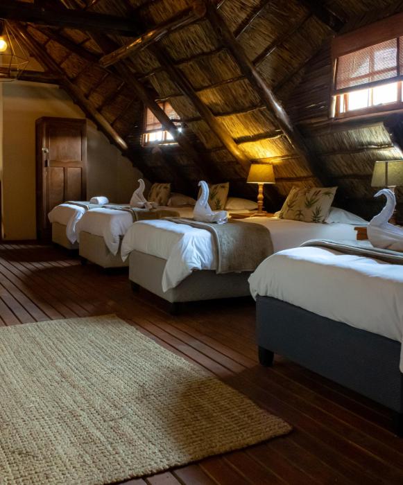 tshikwalo game lodge