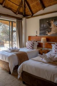 tshikwalo game lodge