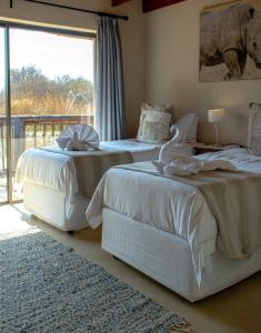 tshikwalo game lodge